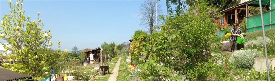 Familiengarten_Panorama