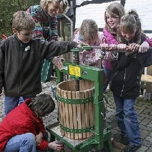 OK Wümmetfäscht Höngg